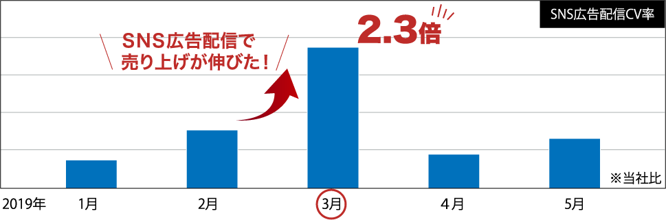 SNS広告配信CV率