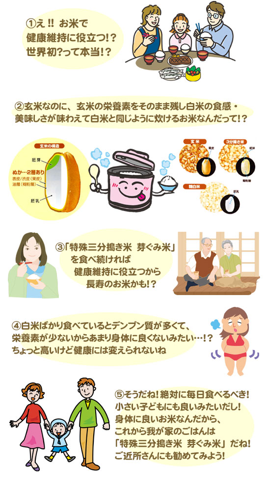 AYA様専用 新米 2個玄米領収書 無農薬 純こしひかり30㎏ 完成品 無農薬