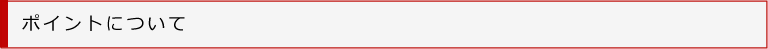 ポイントについて